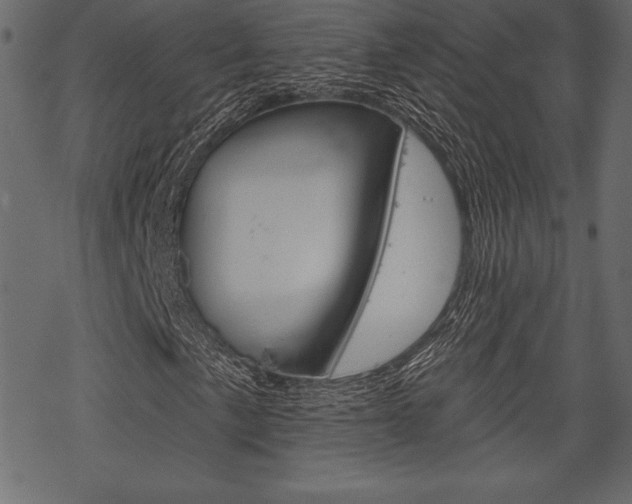 X0000070221057200605261031