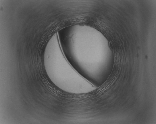 X0000070221058200605261031