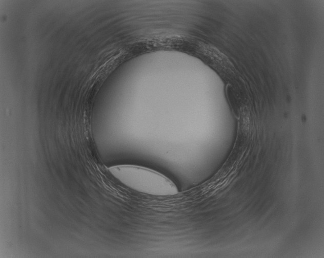 X0000070221060200605261031