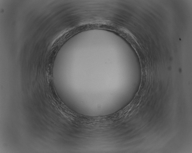 X0000070221064200605261031