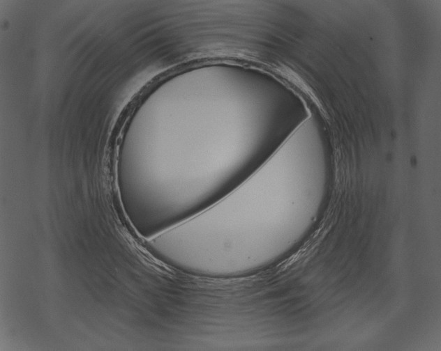 X0000070221068200605261031