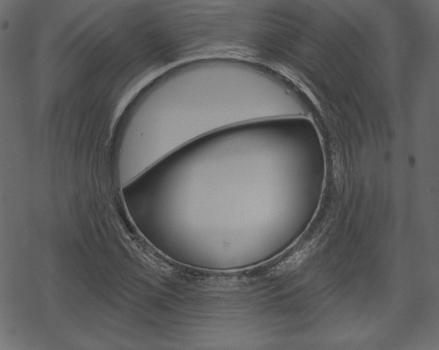X0000070221069200605261031