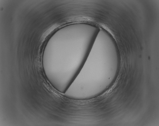 X0000070221071200605261031