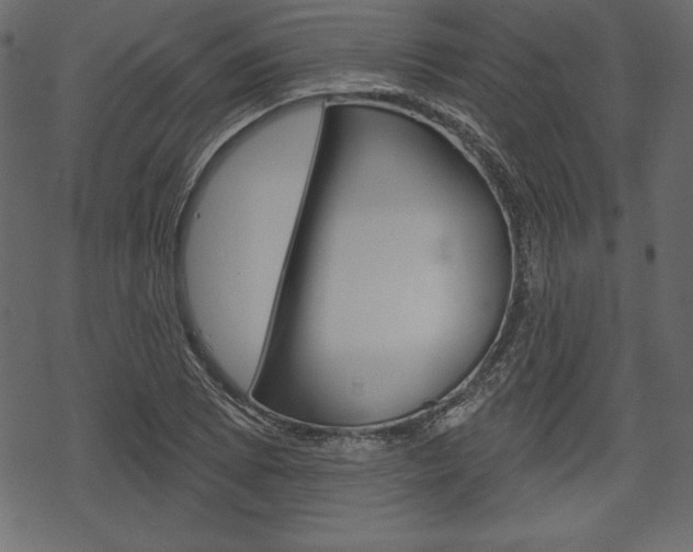 X0000070221073200605261031