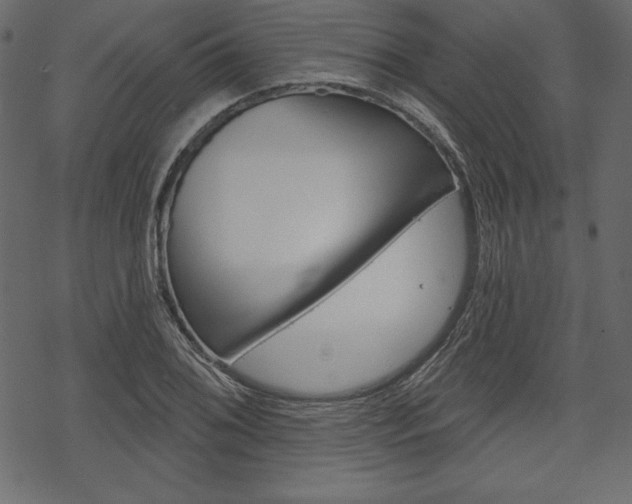 X0000070221076200605261031