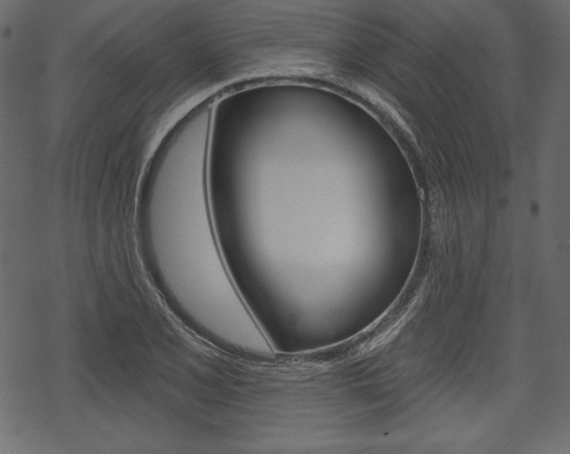 X0000070221077200605261031