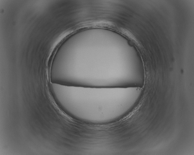 X0000070221079200605261031
