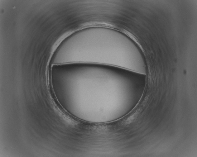 X0000070221082200605261031
