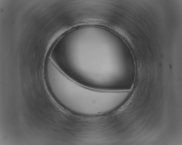 X0000070221085200605261031