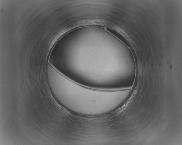 X0000070221089200605261031