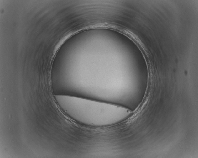 X0000070221097200605261031