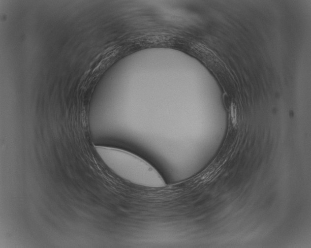 X0000070221107200605261030