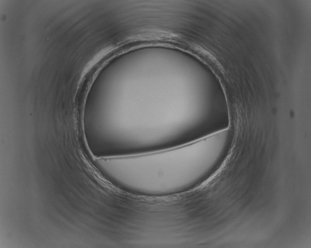 X0000070221114200605261030