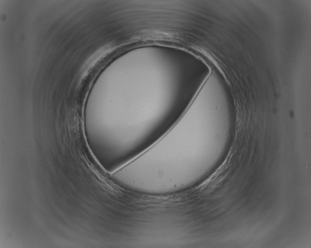 X0000070221115200605261030
