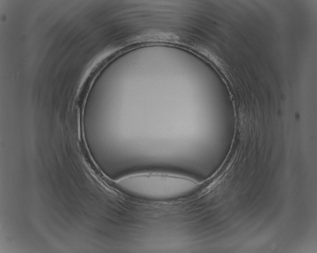 X0000070221123200605261030