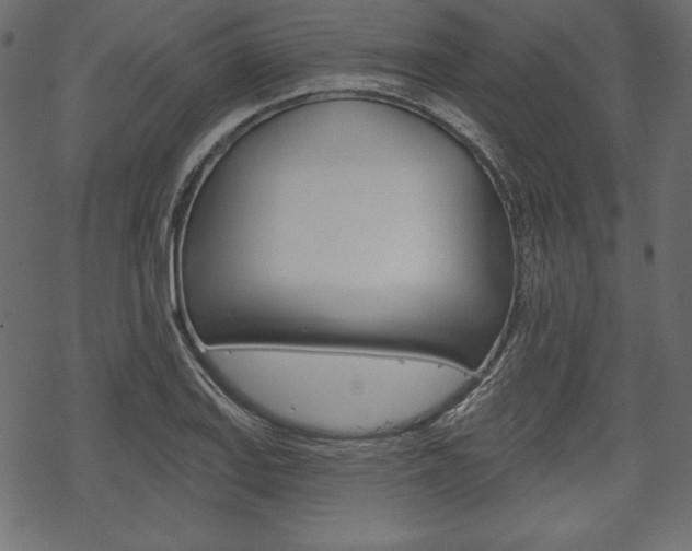 X0000070221127200605261030