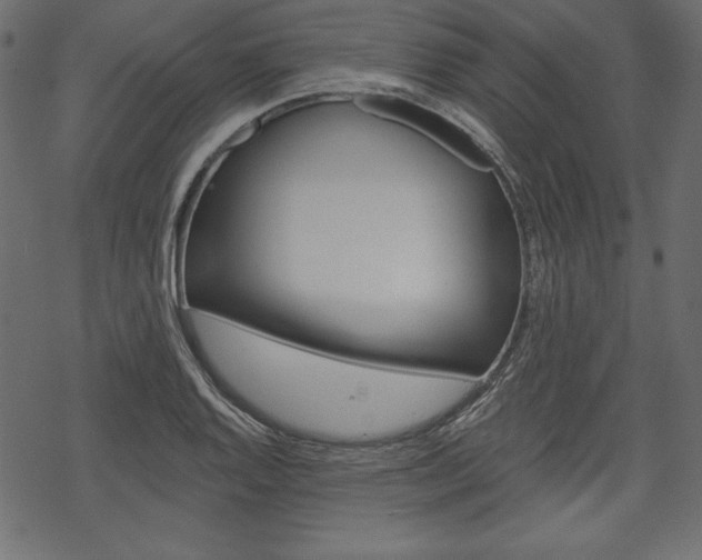 X0000070221128200605261030