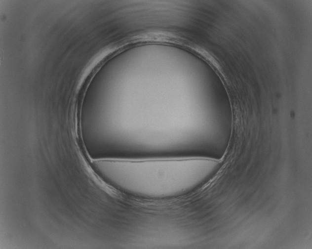 X0000070221131200605261030