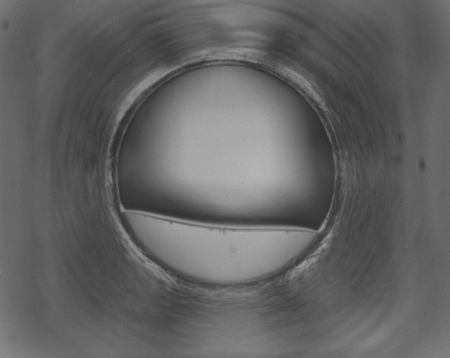 X0000070221133200605261030