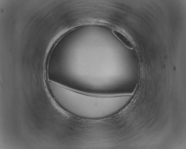 X0000070221136200605261030
