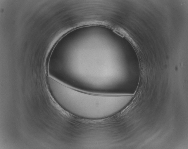 X0000070221140200605261030