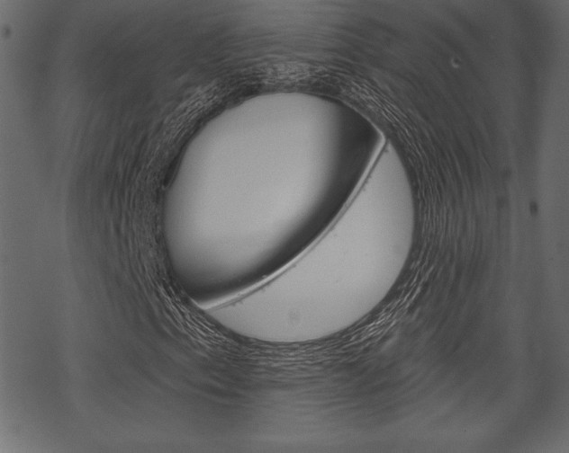 X0000070221153200605261030
