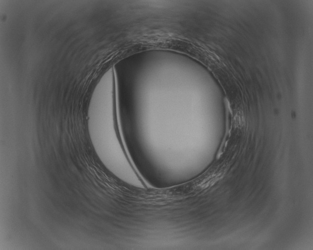 X0000070221156200605261030