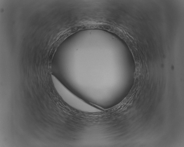 X0000070221157200605261030