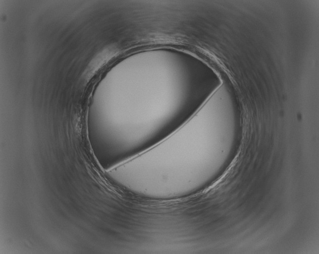 X0000070221163200605261029