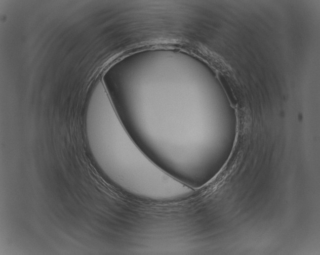 X0000070221169200605261029