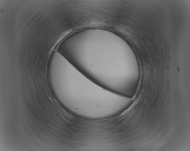 X0000070221170200605261029