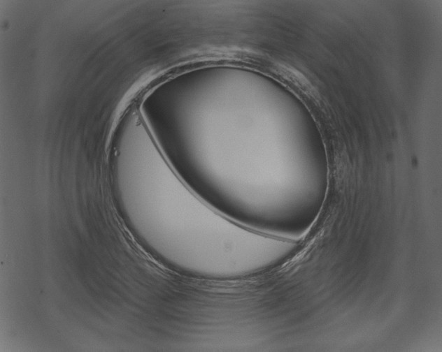X0000070221172200605261029