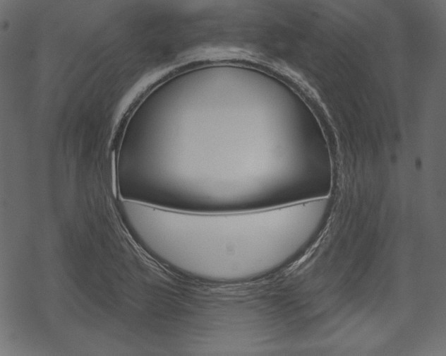 X0000070221175200605261029