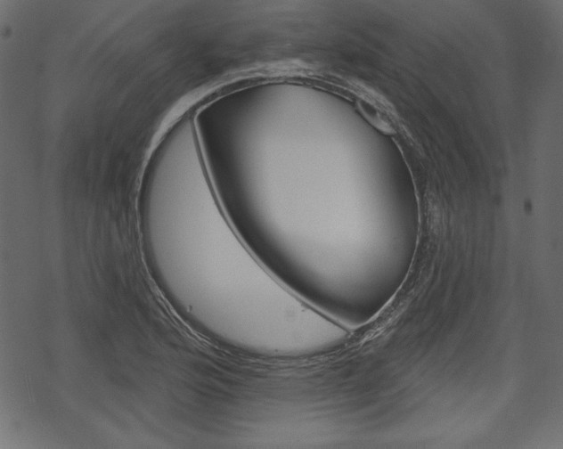X0000070221176200605261029