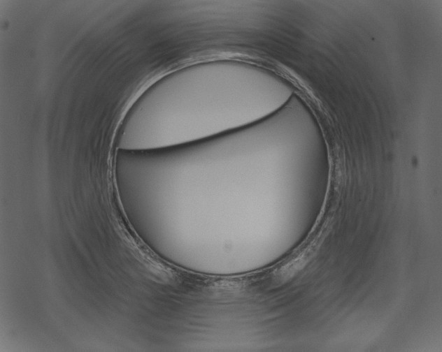X0000070221178200605261029