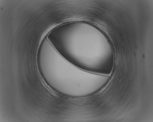 X0000070221179200605261029