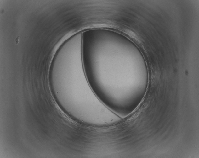 X0000070221181200605261029