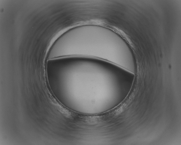 X0000070221184200605261029
