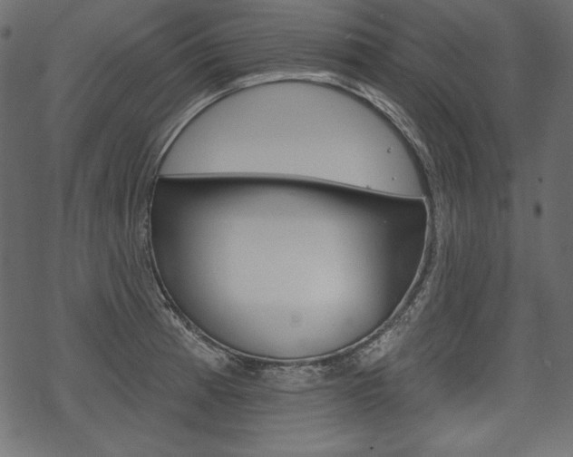 X0000070221185200605261029