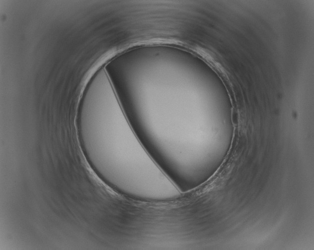 X0000070221189200605261029