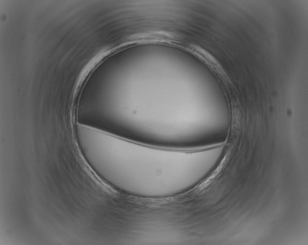 X0000070221196200605261029