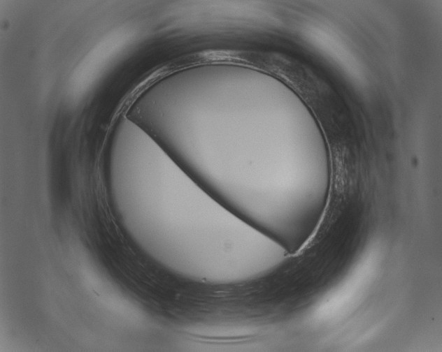 X0000070221198200605261029