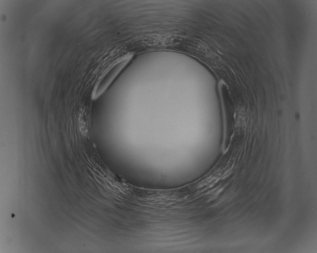 X0000070221202200605261028