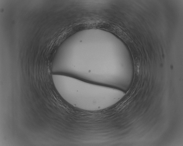 X0000070221204200605261028