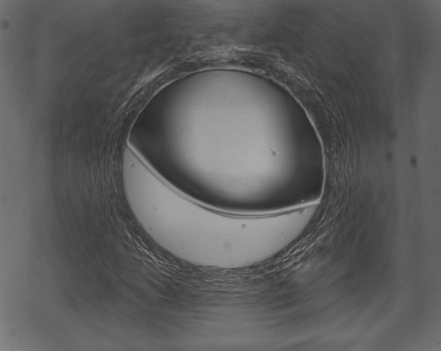 X0000070221206200605261028