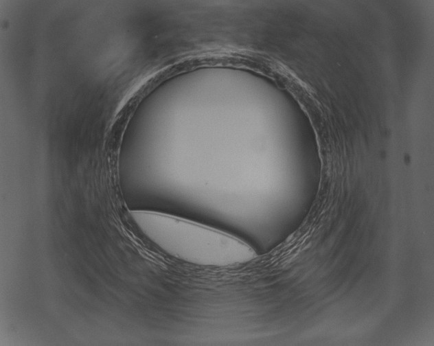 X0000070221208200605261028