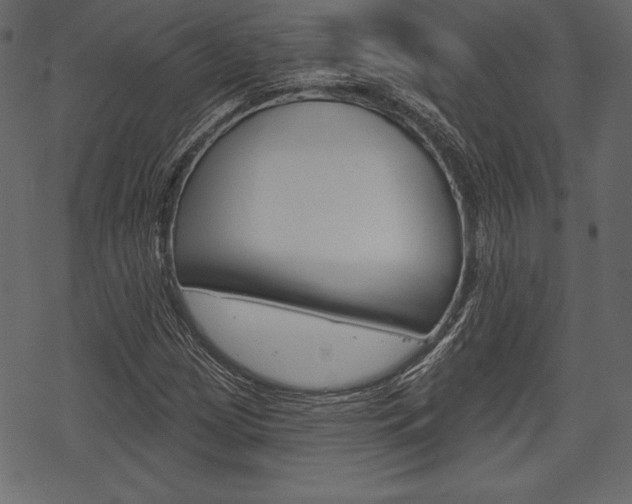 X0000070221209200605261028