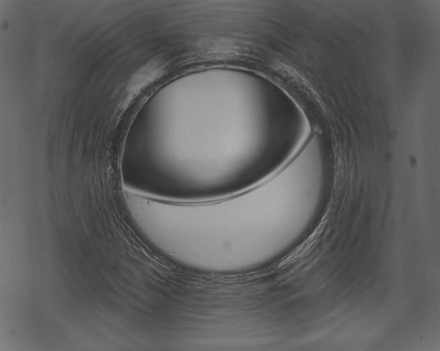 X0000070221210200605261028