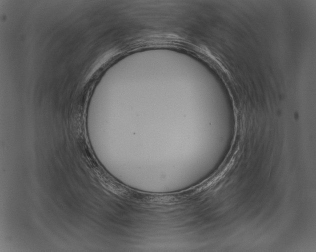 X0000070221211200605261028
