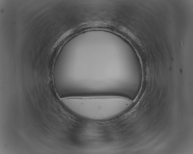 X0000070221213200605261028